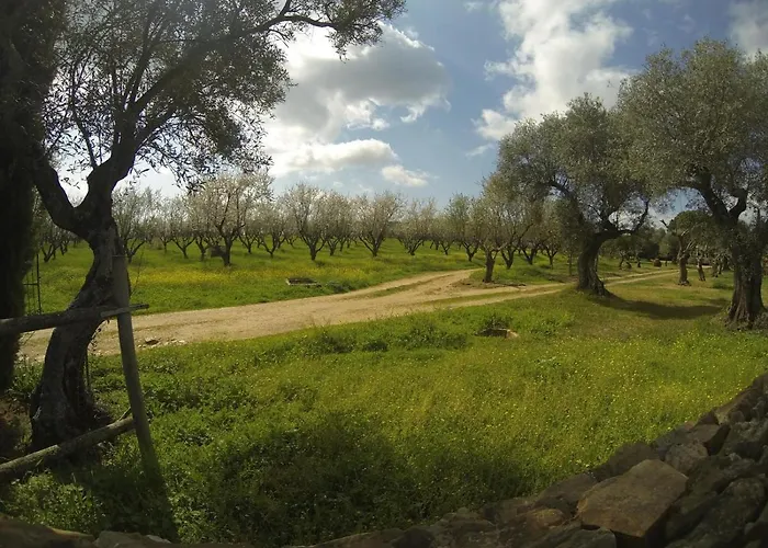 La Moranta Летний дом