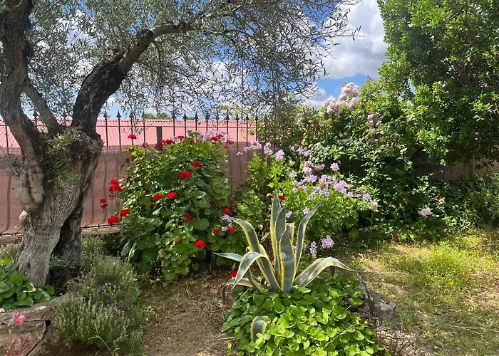 La Moranta Летний дом